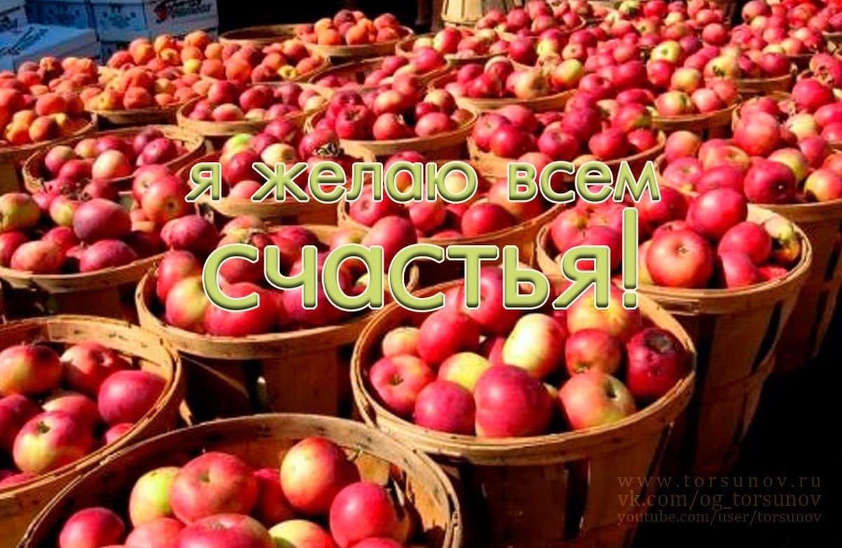 Онлайн-интенсив "Благость"